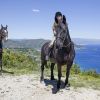 Due persone a cavallo su un sentiero con vista mare.