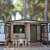 Bungalow con veranda in legno tra i pini.