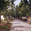 Un viale alberato con case mobili su entrambi i lati.