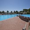 Ampia piscina blu accanto a un'area con fiori in vaso, circondata da sedie a sdraio.