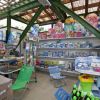 Negozio con scaffali pieni di giocattoli da spiaggia e accessori colorati.