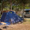 Tenda blu vicino a un'auto decorata e una casa mobile.