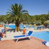 Piscina all'aperto con persone e palme.