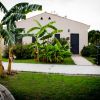 Casa beige con piante di banano nel giardino.