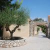 Giardino con albero e arco di pietra.