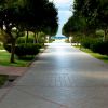 Viale alberato con vista mare in lontananza.