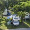 Camper parcheggiati tra alberi e palme.