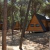 Bungalow a forma di A in una pineta.