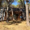 Una casa in legno tra alberi nel bosco.