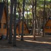 Chalet di legno tra gli alberi in un bosco.