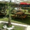 Tavoli da picnic in un giardino con ombrelloni.