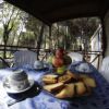 Colazione all'aperto con tazze e biscotti su tavolo apparecchiato.