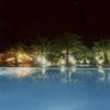 Piscina illuminata di notte, circondata da palme che si riflettono nell'acqua.