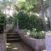 Sentiero gradinato in un giardino ombreggiato con piante rigogliose.
