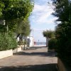 Viale alberato verso il mare nella luce del giorno.