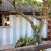 Muro a righe bianche e azzurre con piante e albero.