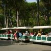 Cieloverde Camping Village (GR) Toscana