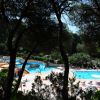 Piscina affollata tra gli alberi con persone su sdraio.