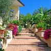 Un sentiero con scale in mattoni circondato da piante e fiori colorati conduce a casa.