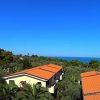 Tetti rossi di edifici immersi nel verde con vista sul mare sotto un cielo blu.