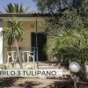 Piccola casa gialla con veranda, circondata da palme e vegetazione.