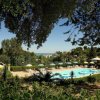 Vista di una piscina immersa nel verde.