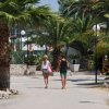 Due persone che camminano lungo un viale circondato da palme e vegetazione.