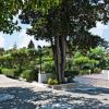 Giardino ombreggiato con alberi, cespugli e una scala discendente.