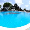 Piscina rotonda con sedie a sdraio, alberi e cielo blu.