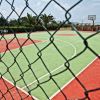 Campo da basket con recinzione e palme sullo sfondo.