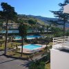 Veduta di una piscina circondata da verde e colline, con piante e vialetti.