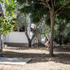 Bambini giocano tra gli alberi vicino a edifici bianchi.