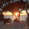Alberi silhouettati da un tramonto sul mare in una spiaggia sabbiosa.