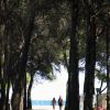 Due persone camminano su un sentiero tra pini verso il mare.