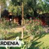 Giardino con cespugli fioriti e alberi, davanti a un edificio.