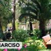 Panchine tra viali alberati e fiori.