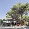 Un chiosco giallo tra alberi di pino su una spiaggia soleggiata.