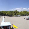 Una spiaggia sabbiosa con ombrelloni blu e bianchi, vicino a una pineta.