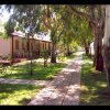 Un sentiero pavimentato tra gli alberi conduce a strutture con tetti rossi e verande ombreggiate.