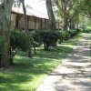 Viale alberato con cespugli e un edificio laterale.