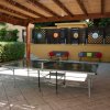 Un tavolo da ping pong sotto un pergolato.