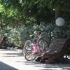 Due biciclette appoggiate su una panchina di legno lungo un vialetto alberato.