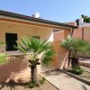 Una casa color pesca con palme davanti e un vialetto lastricato.