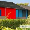 Case colorate rosso e blu, circondate da vegetazione.