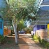 Un sentiero con alberi tra bungalow colorati e parcheggio auto.