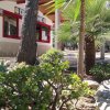 Giardino con palme e cespugli vicino a un edificio.