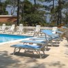 Lettini blu e bianchi a bordo piscina circondati da alberi.