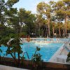 Piscina circondata da vegetazione e sedie a sdraio blu.