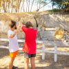 Due persone praticano tiro con l'arco all'aperto.
