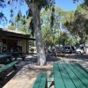 Area picnic all'aperto con tavoli verdi e alberi, vicino a un edificio.